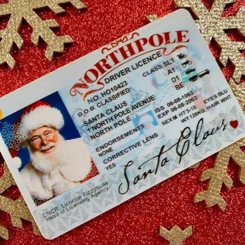 Santa Claus Virtual Sled Driving License - Novelty Christmas Game Prop & Play Prop - Funny Mini Cute Stocking Stuffer - Christmas & Halloween Party Favor - Models A, B, C & D