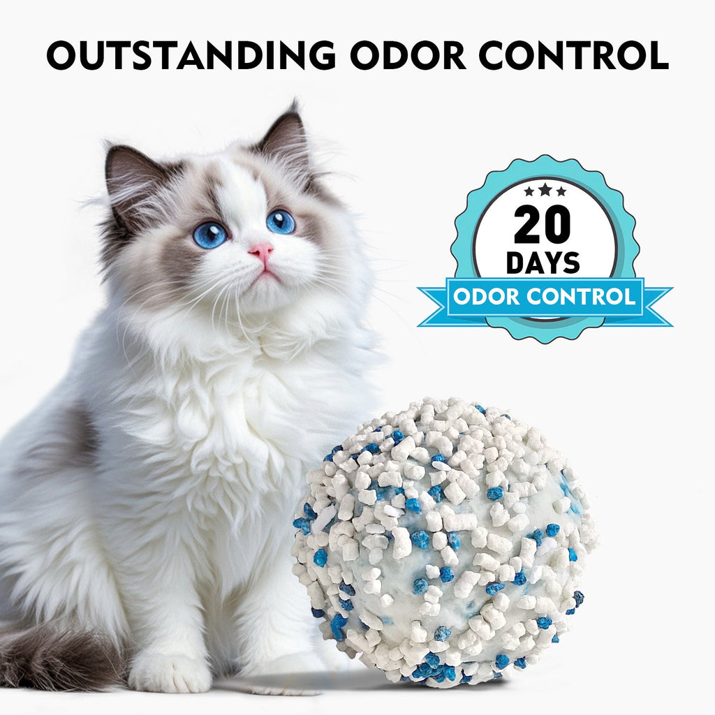 Noisy Lion Cassava Cat Litter Bulk Pack 14.4kg (6×2.4kg), Plant-Based Flushable, 99.9% Dust-Free, 99.1% Odor Control (CTI Lab Verified), Strong Clumping, 3-Month Supply for Multi-Cat Households